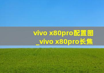 vivo x80pro配置图_vivo x80pro长焦